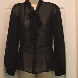 Sheer Long sleeve blouse